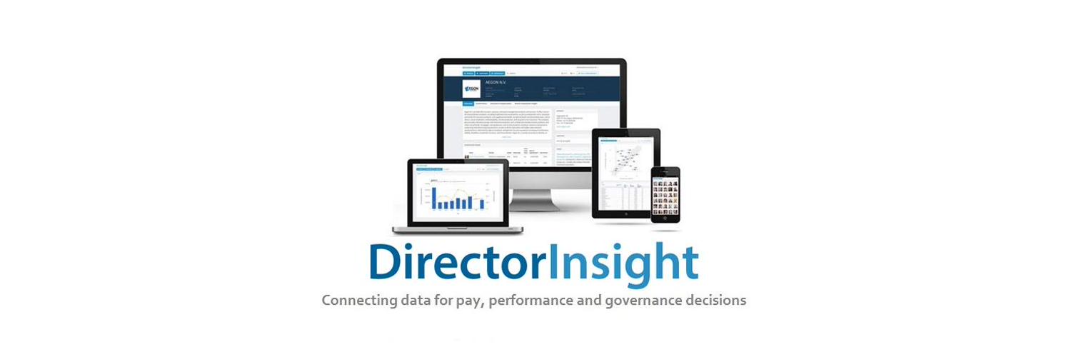DirectorInsight  cover