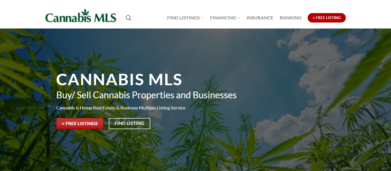 Cannabis MLS cover