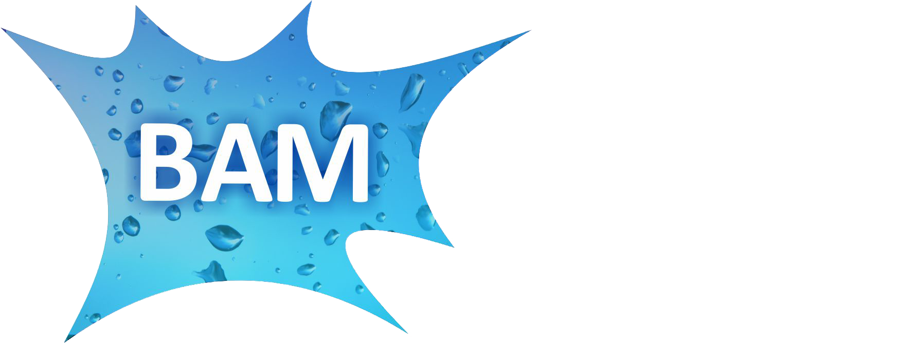 Bam Window Cleaning cover