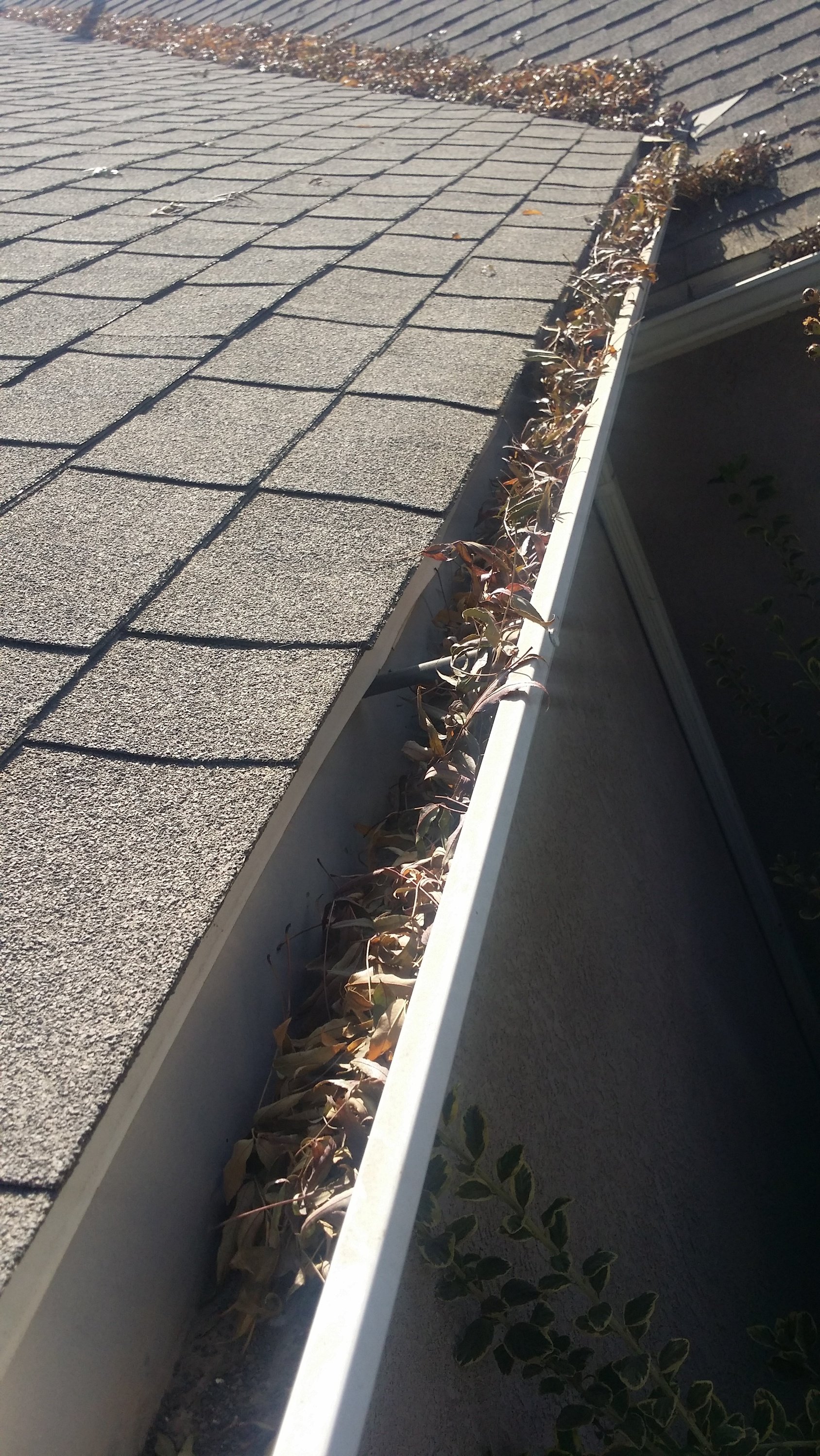 Clean Pro Gutter Cleaning Sacramento cover
