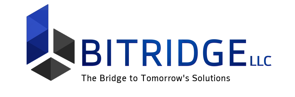 BITRIDGE LLC cover