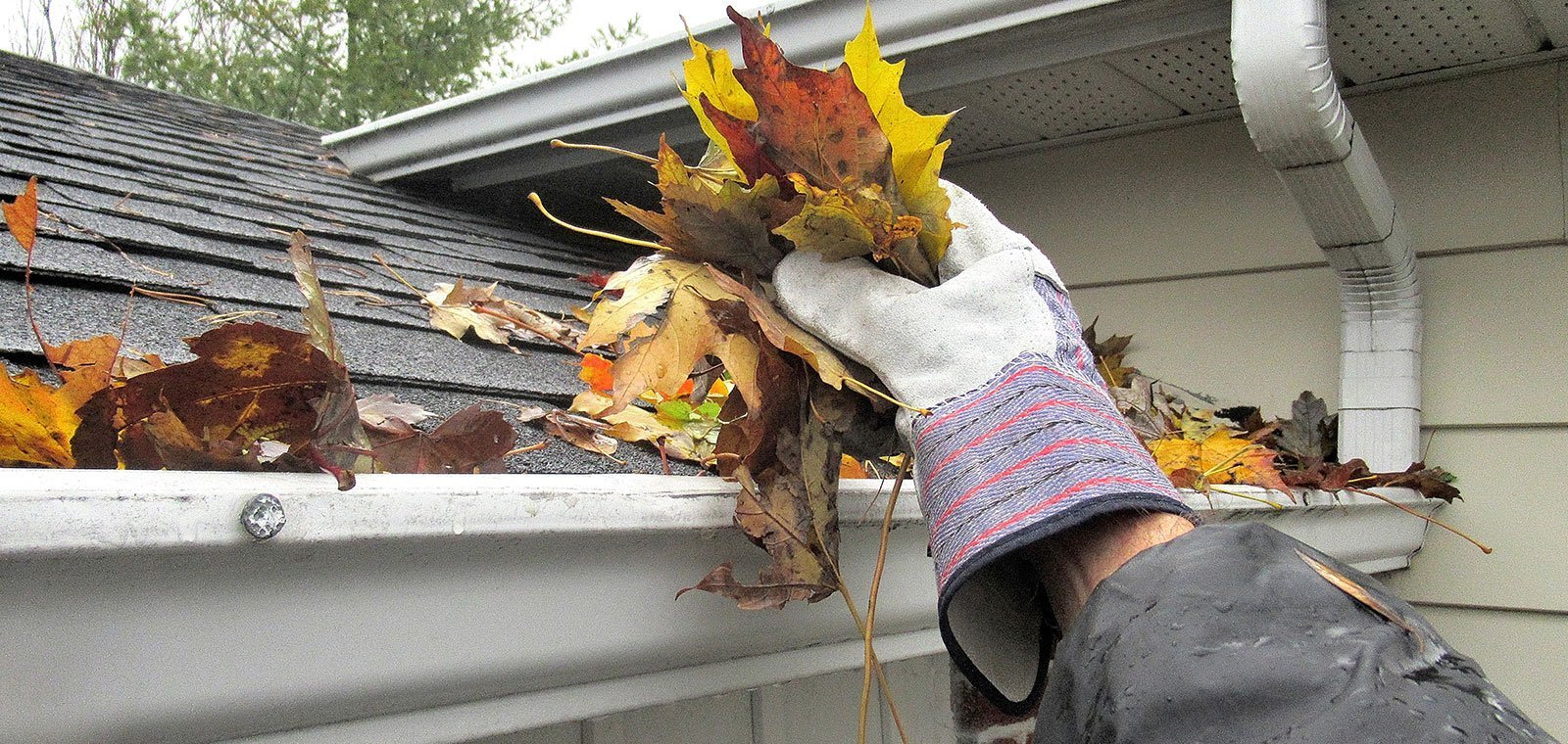 Clean Pro Gutter Cleaning Fayetteville cover