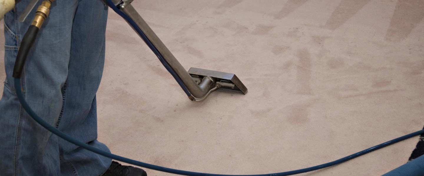 Same Day Carpet Cleaning Adelaide cover