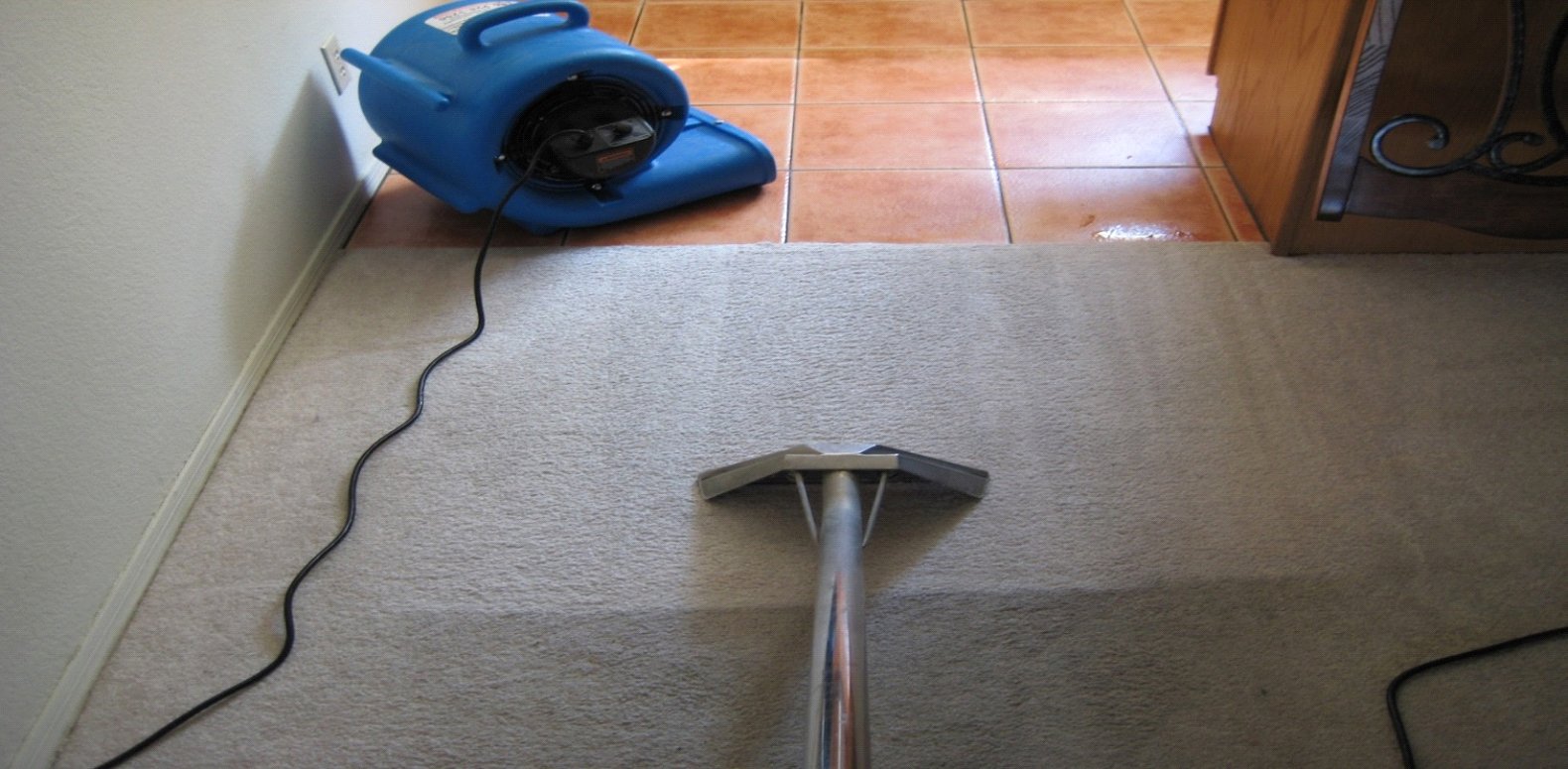 Carpet Cleaning Wollongong cover