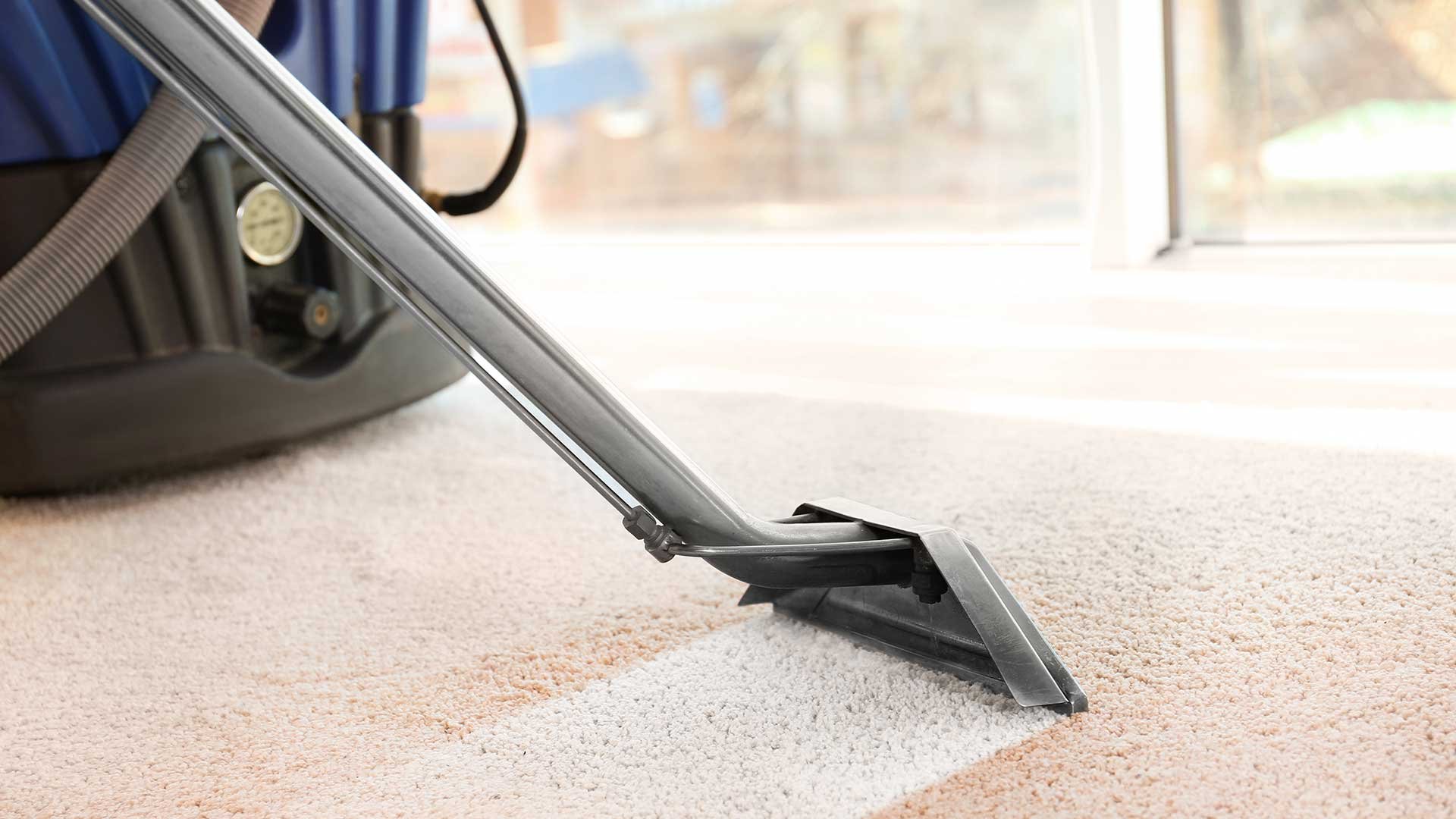 Carpet Cleaning Adelaide cover