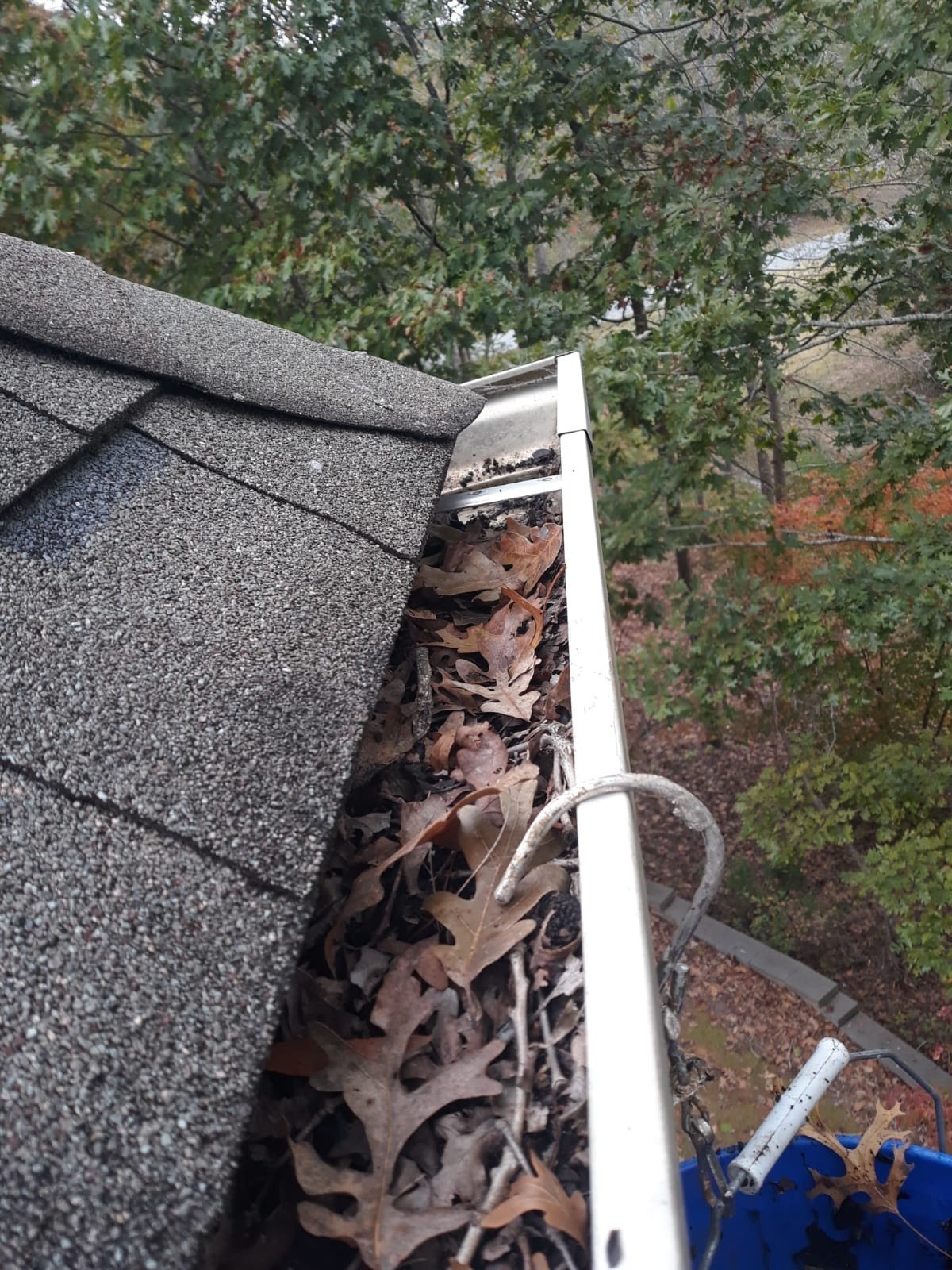 Clean Pro Gutter Cleaning Charlotte cover