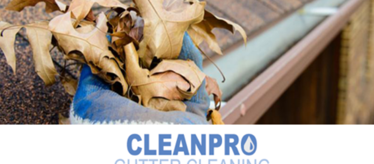 Clean Pro Gutter Cleaning Anderson cover