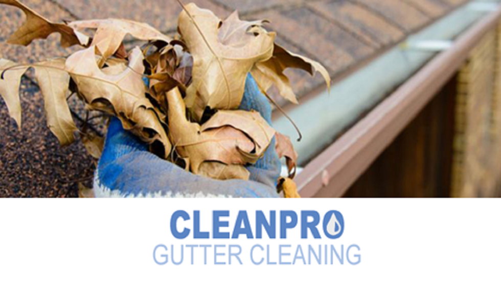 Clean Pro Gutter Cleaning Hendersonville cover