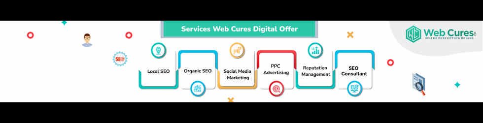 Web Cures Digital Dental Marketing Greenwood cover