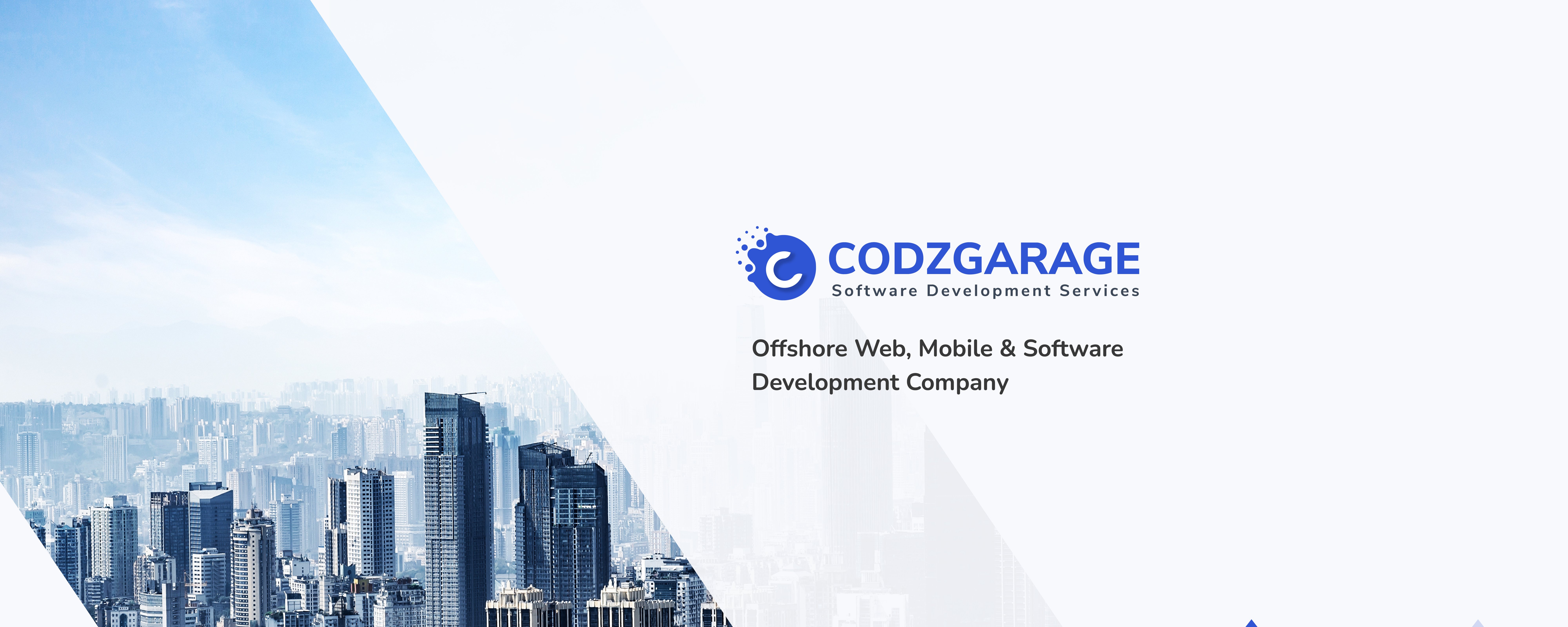 Codzgarage Infotech cover