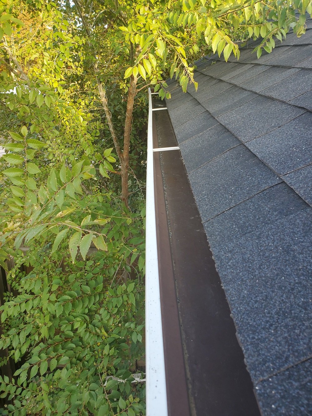 Clean Pro Gutter Cleaning Chattanooga cover