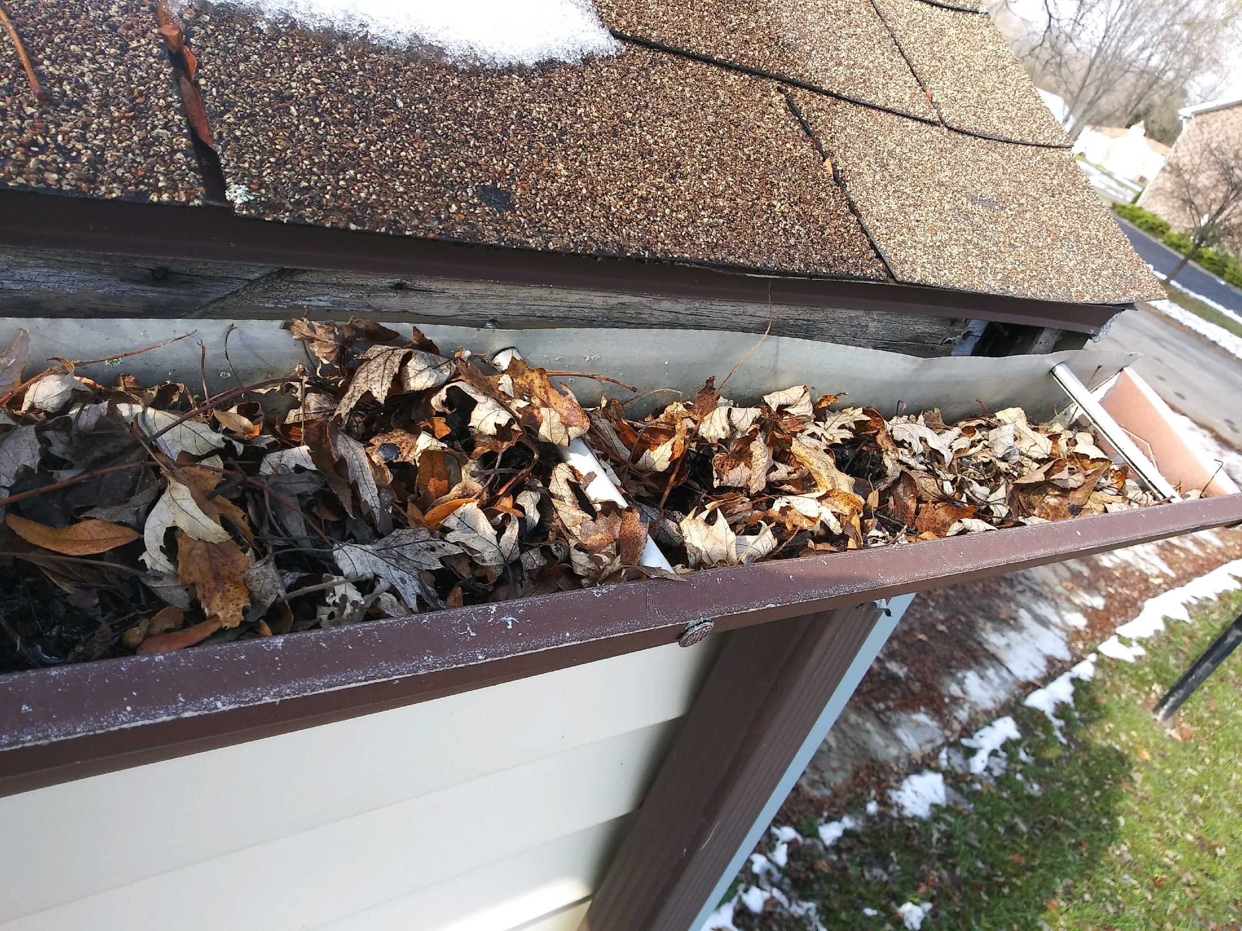 Clean Pro Gutter Cleaning Buffalo cover