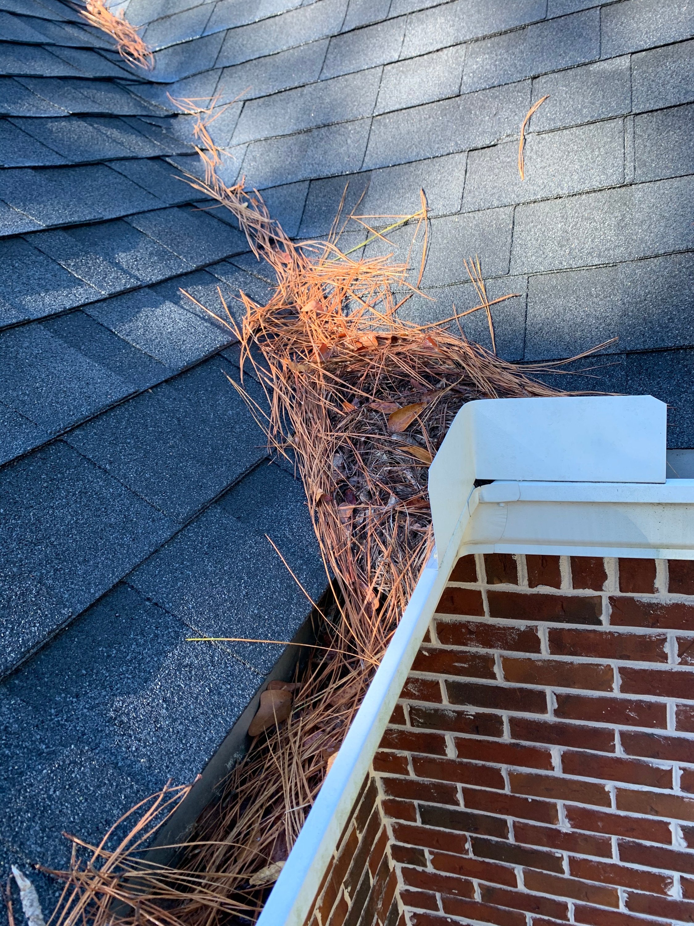 Clean Pro Gutter Cleaning Raleigh cover