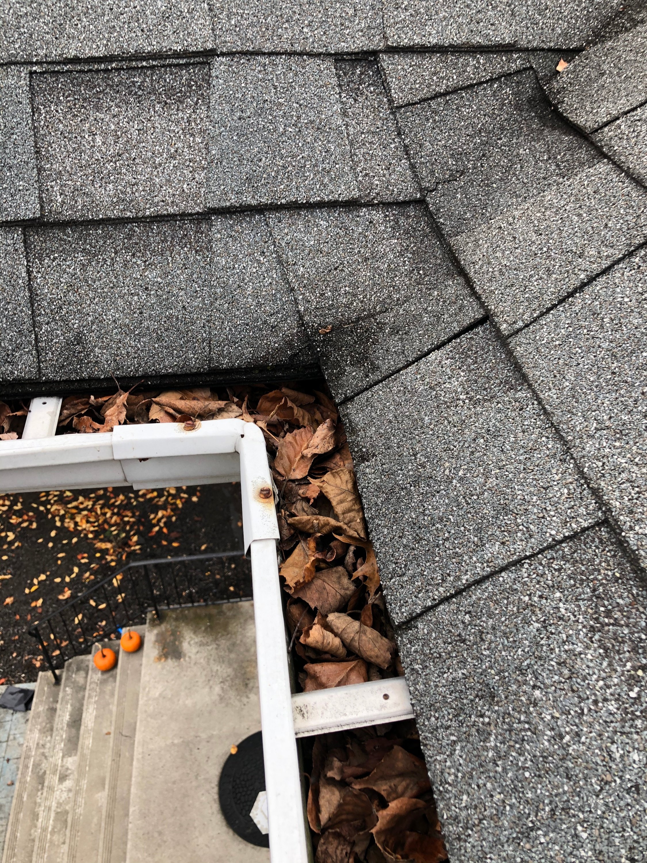 Clean Pro Gutter Cleaning Rochester NY cover