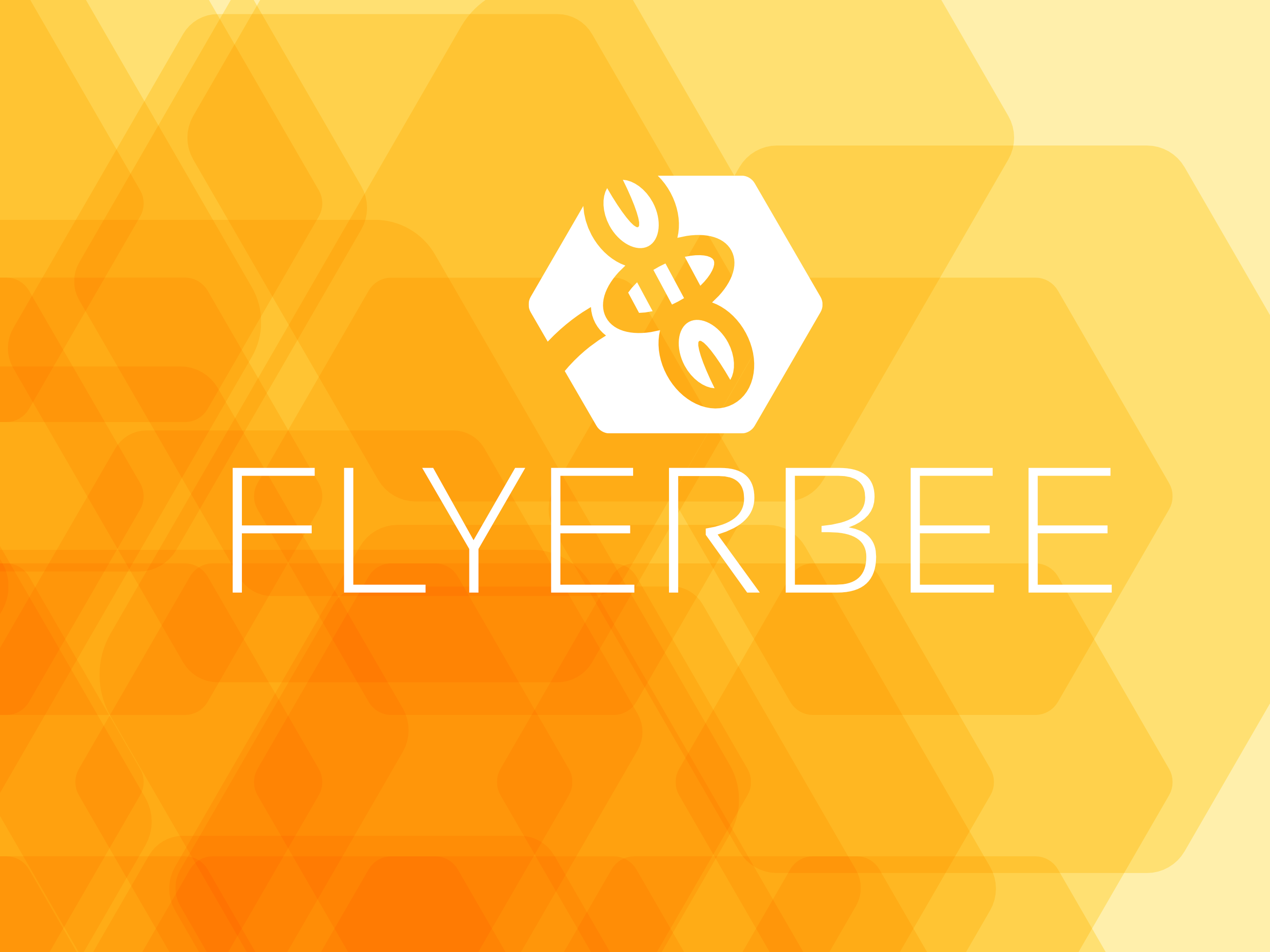 FLYERBEE AG cover