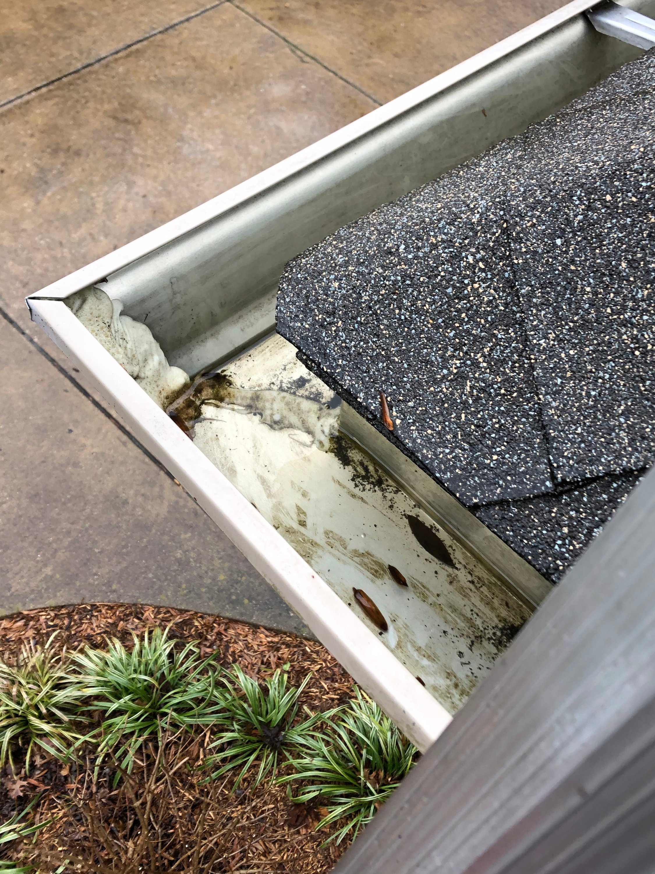Clean Pro Gutter Cleaning Indianapolis cover