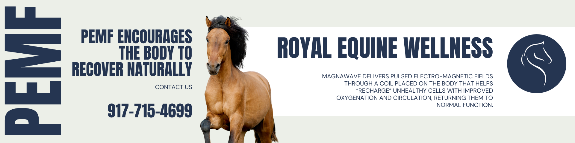 Royal Equine Wellness cover