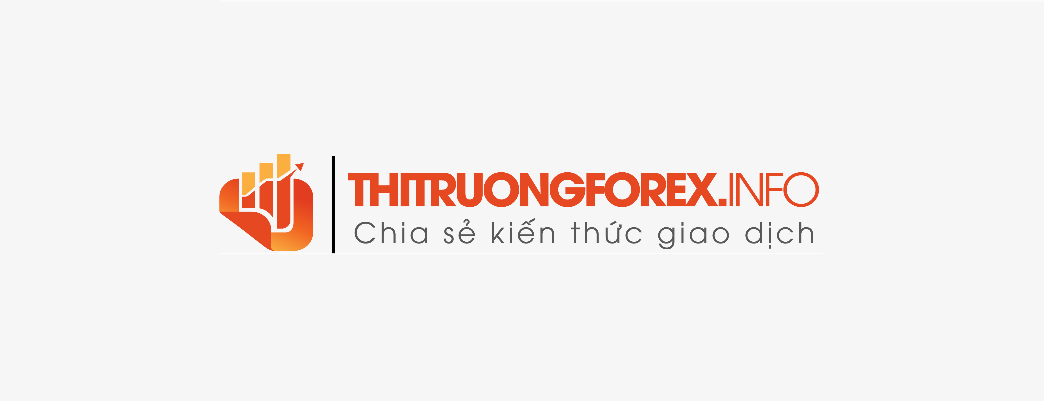 Thitruong Forex cover