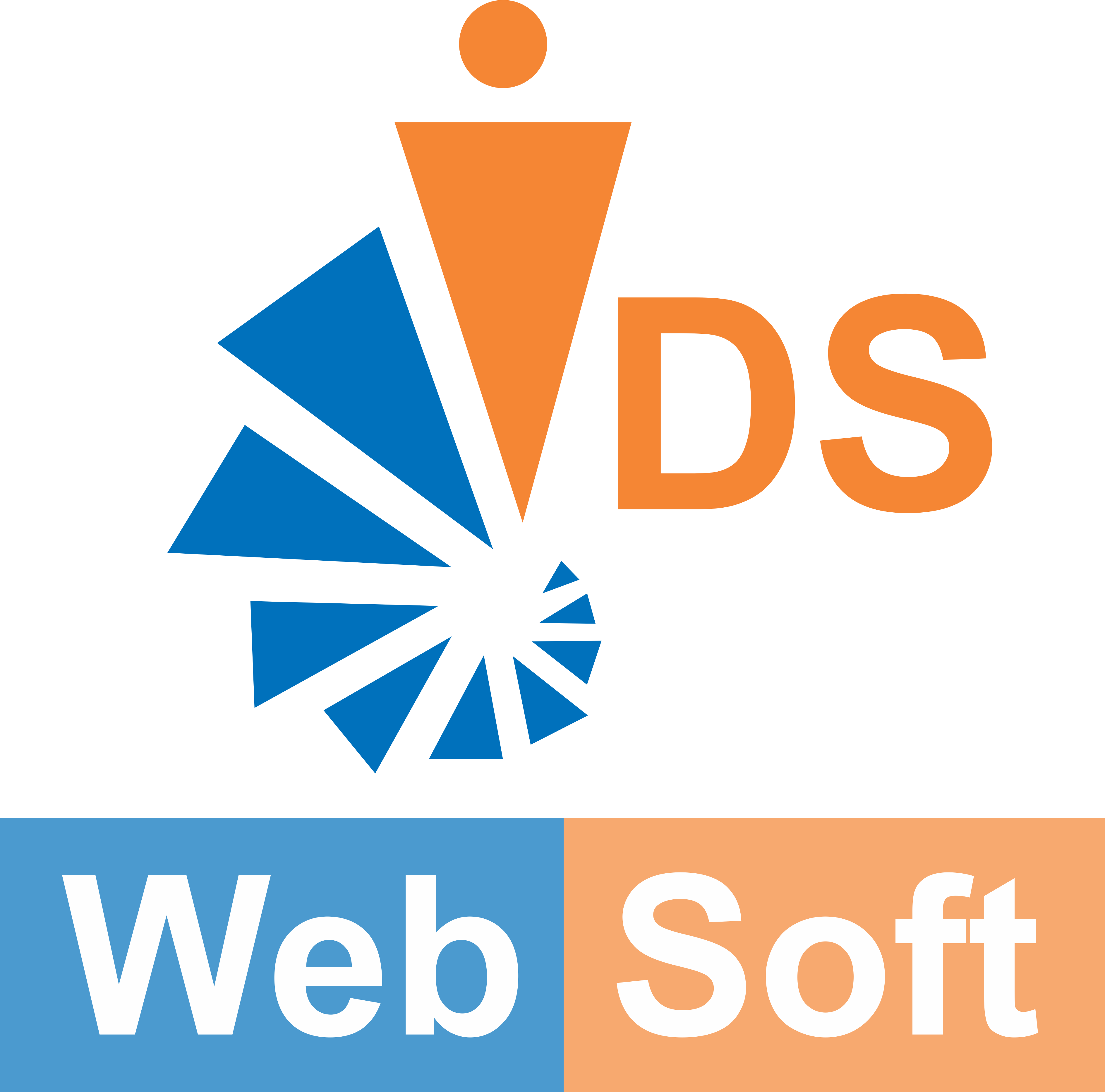 IDS Websoft cover