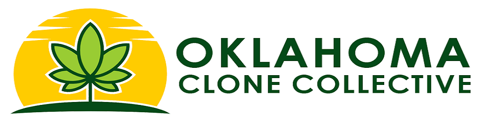Oklahoma Clone Collective cover