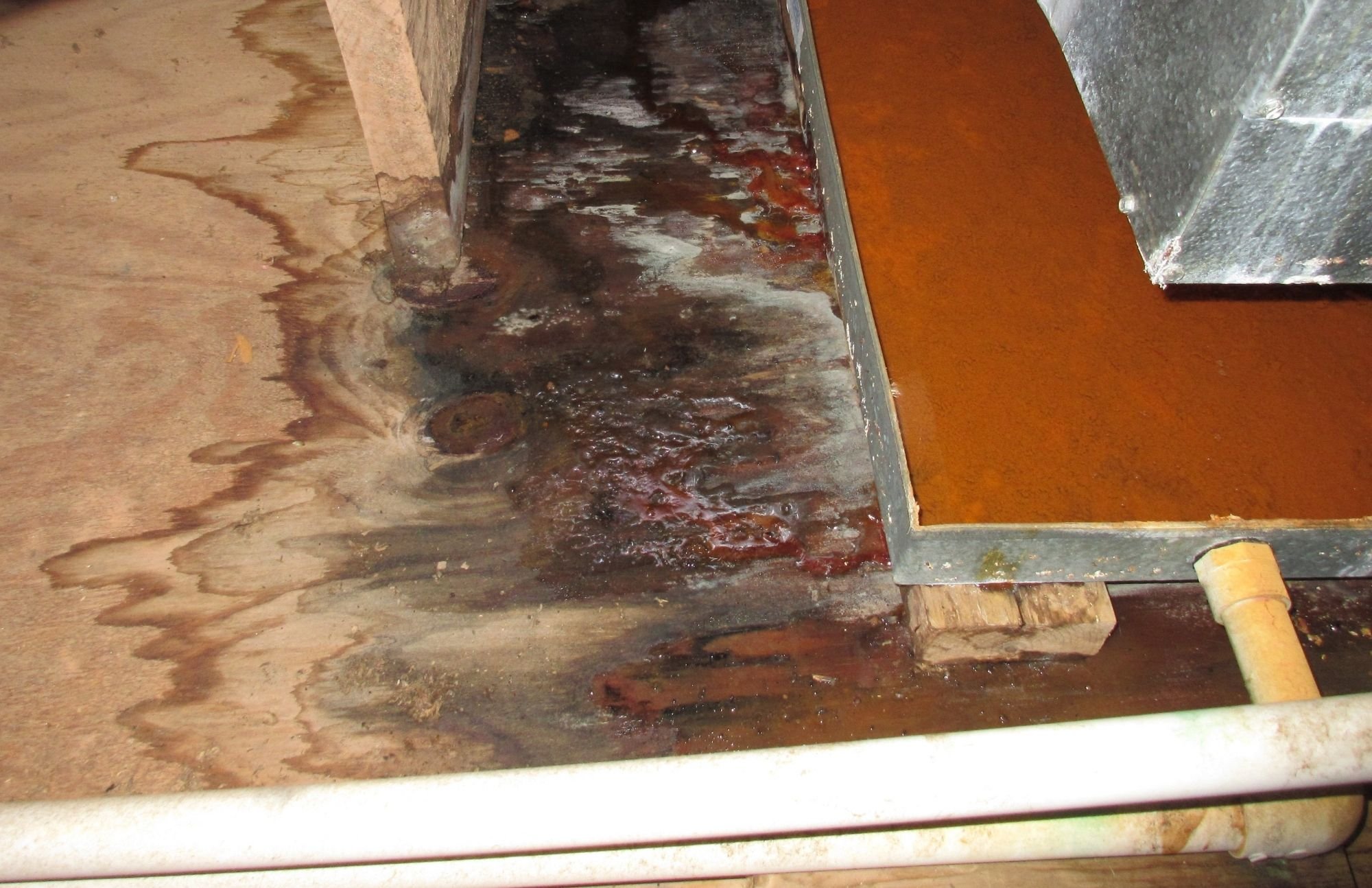 Water Damage Experts of Orange County cover