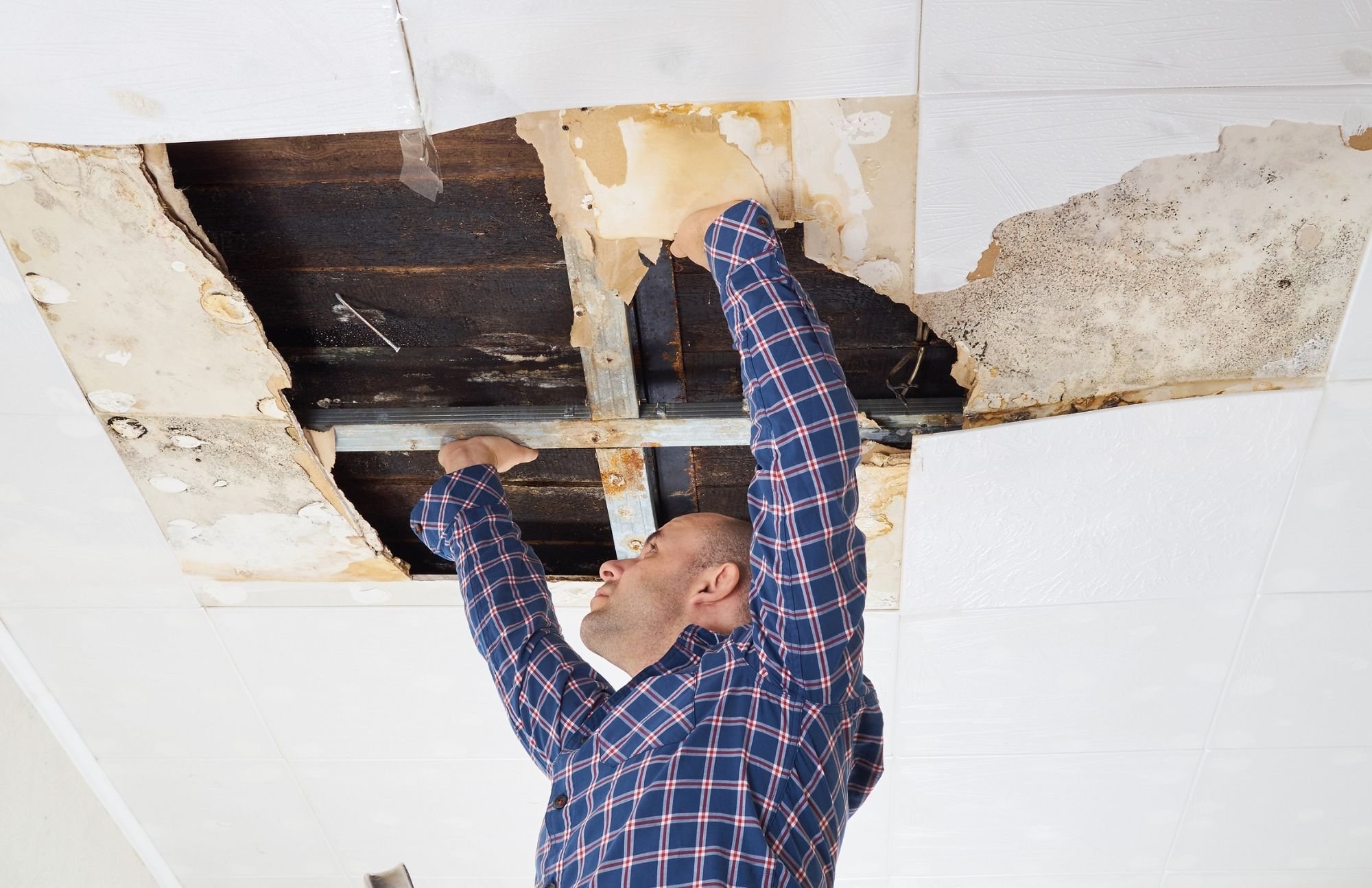 Water Damage Experts of Palmdale cover