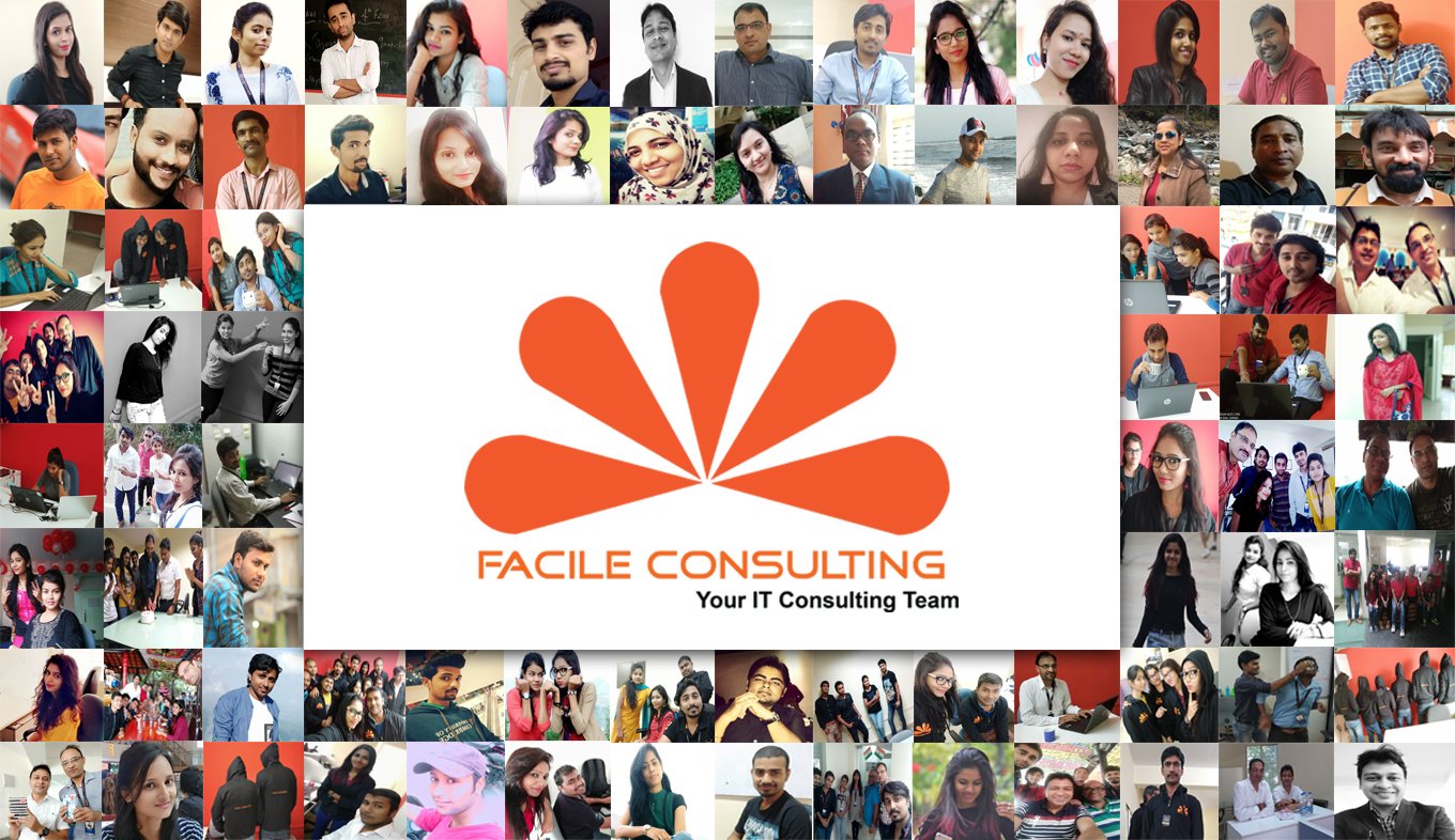 Facile Consulting Private Limited cover