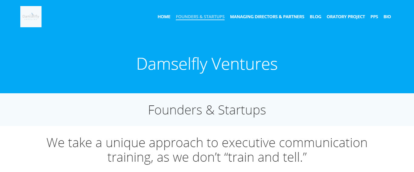 Damselfly Ventures cover