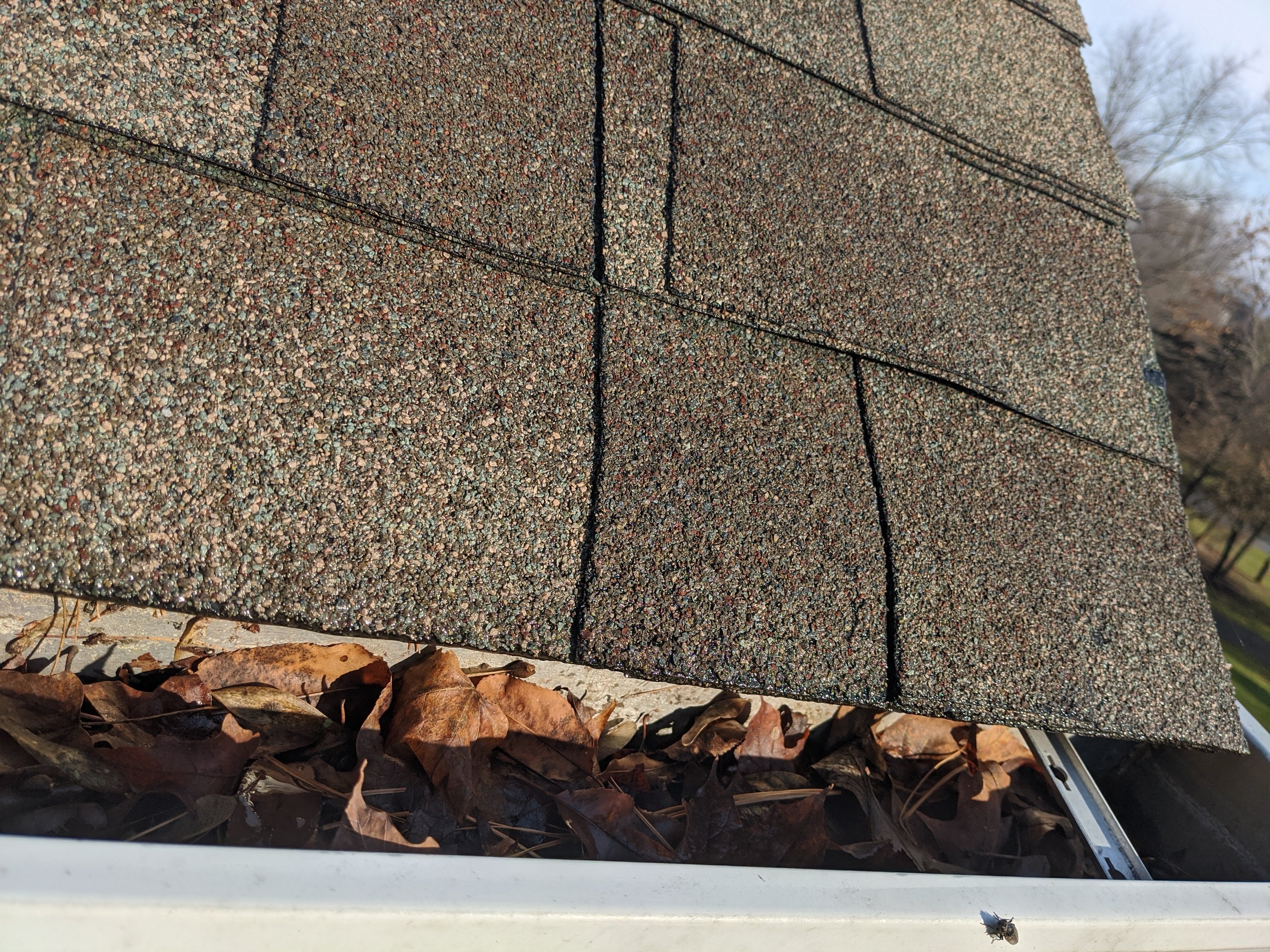 Clean Pro Gutter Cleaning Toms River cover
