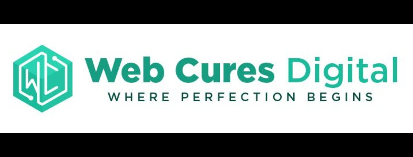 Web Cures Digital Chiropractor SEO New York cover