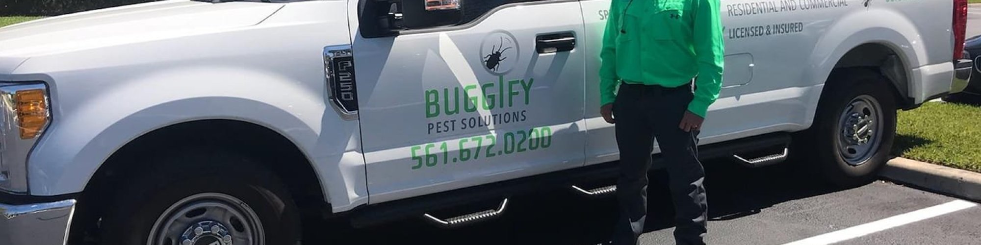 Buggify Pest Solutions