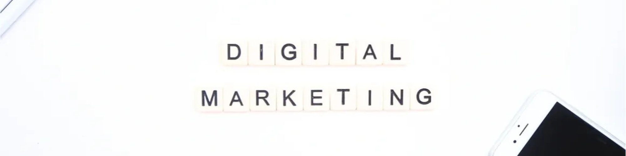 Cast Net Digital Cast Net Digital