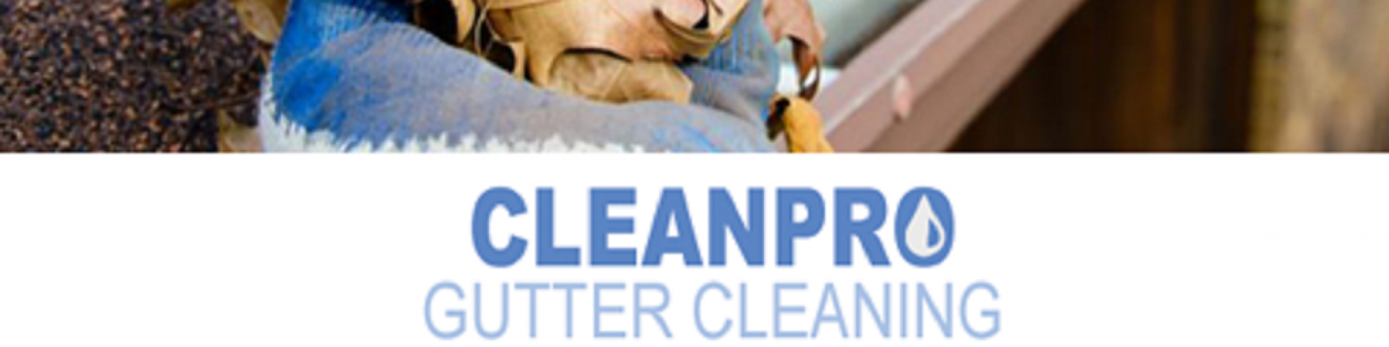 Clean Pro Gutter Cleaning Riverside