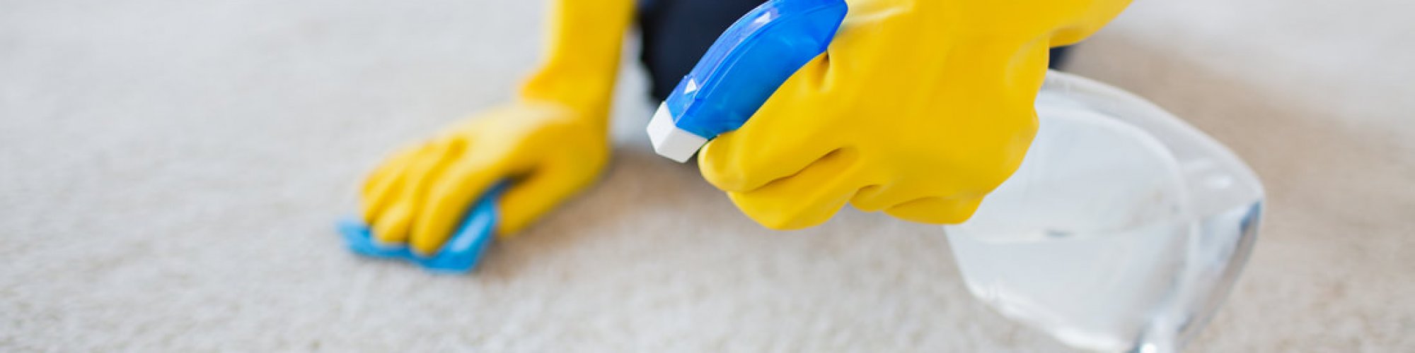 Surrey Carpet Cleaners