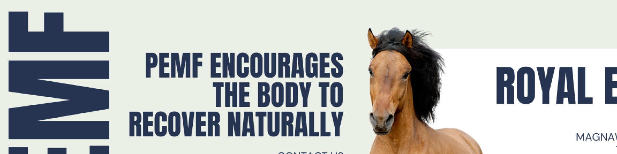 Royal Equine Wellness