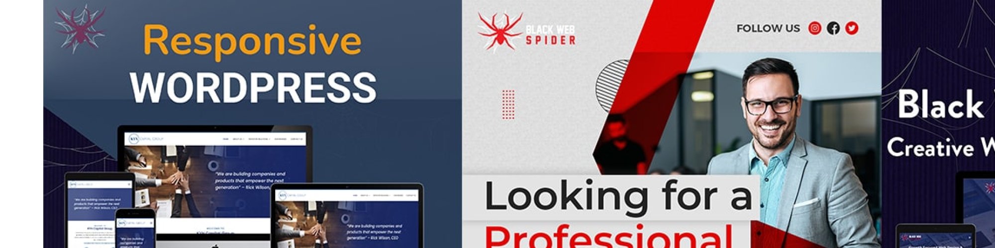 Black Web Spider - Web Design Agency