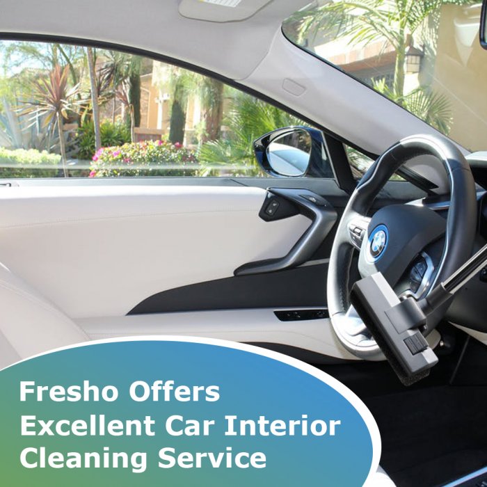 Fresho Cleaning Services Startus