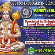 Best astrologer 