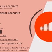 Buy Soundcloud Accounts-Cheap Bulk Accounts 
