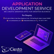 Application Development Service