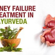 Ayurvedic Kidney Treatment