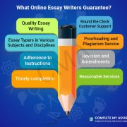 Online Essay Writing Services 