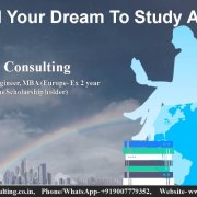 Study Abroad Delta Consulting