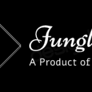 Jungle Bird | Digital Marketing Company In Chandigarh