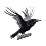 Raven Route Logo