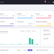Dashboard for your Business Overview