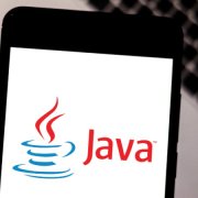 https://www.startus.cc/sites/default/files/company-profile-gallery/why-java-is-so-popular-language-application-of-java-language-770x450.jpg