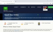 FOR ESTONIAN CITIZENS -  SAUDI Kingdom of Saudi Arabia Official Visa Online - Saudi Visa Online Application - SAUDI Araabia ametlik rakenduskeskus