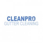 Clean Pro Gutter Cleaning Milwaukee
