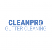 Clean Pro Gutter Cleaning Reno